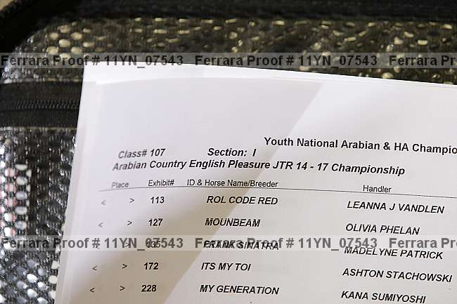 Proof 11yn_07543