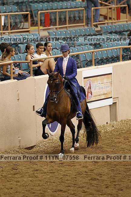 Proof 11yn_07558