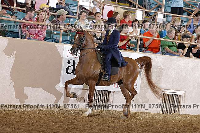 Proof 11yn_07561