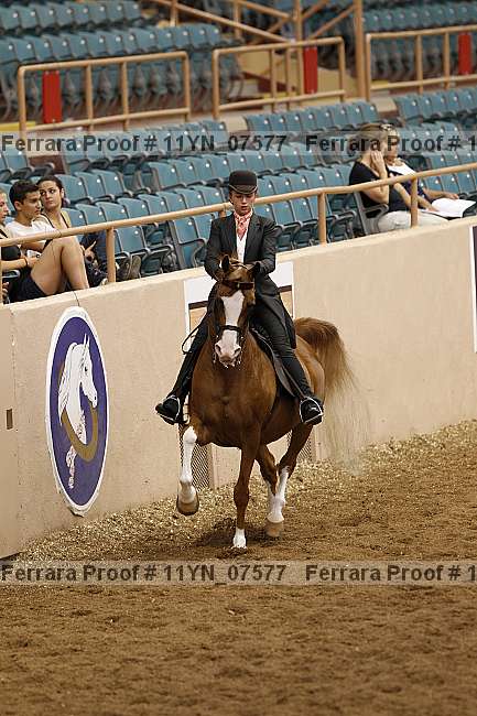 Proof 11yn_07577