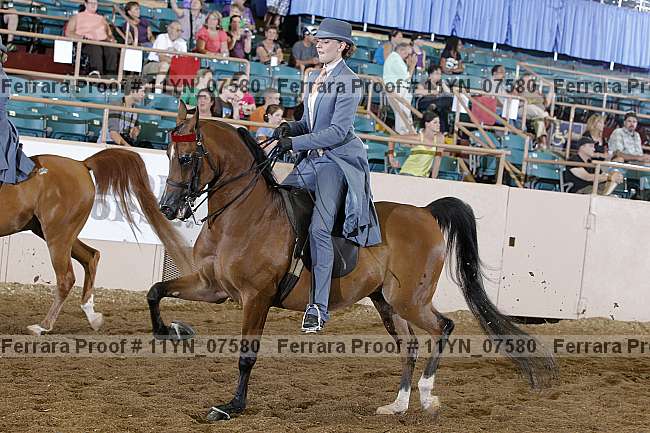 Proof 11yn_07580