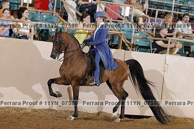 Proof 11yn_07586