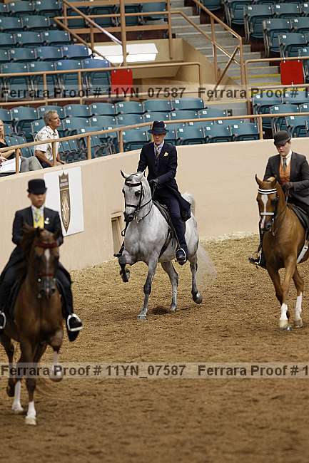 Proof 11yn_07587