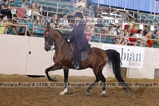 Proof 11yn_07590