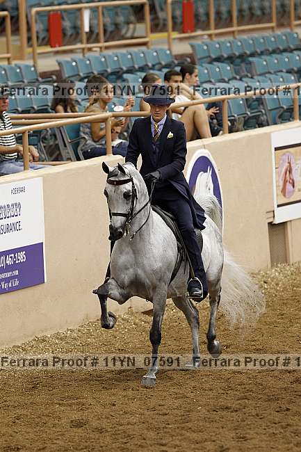 Proof 11yn_07591