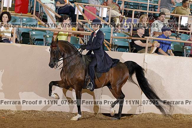 Proof 11yn_07595