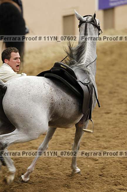 Proof 11yn_07602