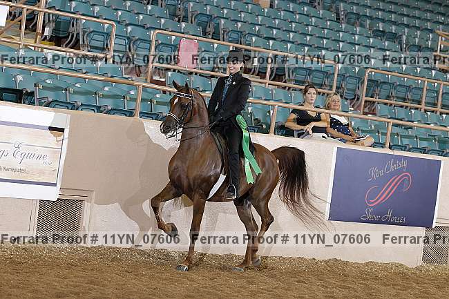 Proof 11yn_07606