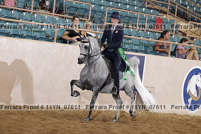 Proof 11yn_07611
