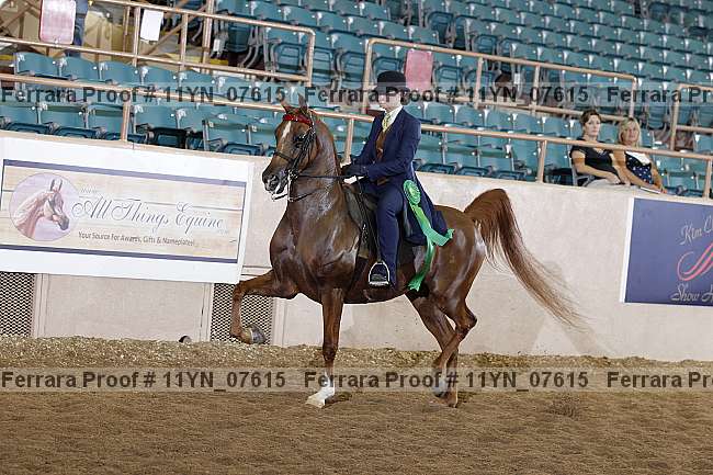 Proof 11yn_07615