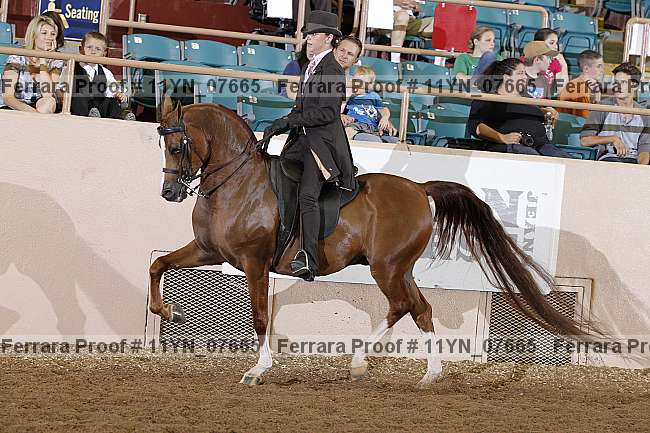 Proof 11yn_07665