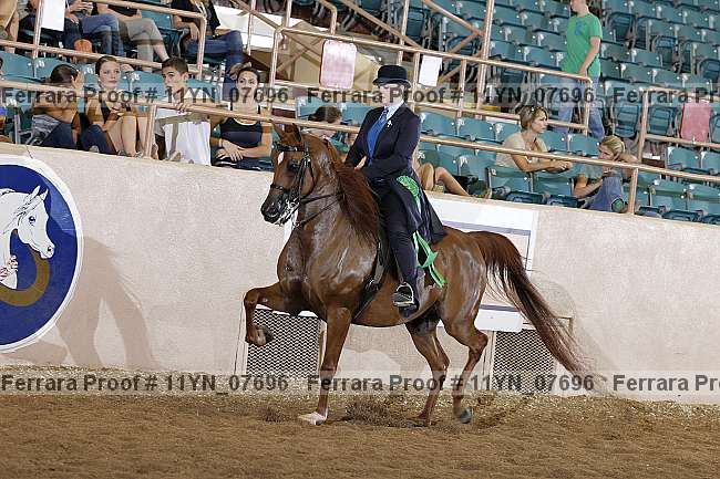 Proof 11yn_07696