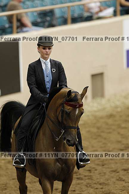 Proof 11yn_07701