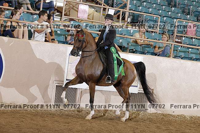 Proof 11yn_07702
