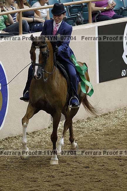 Proof 11yn_07704