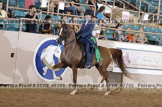 Proof 11yn_07705