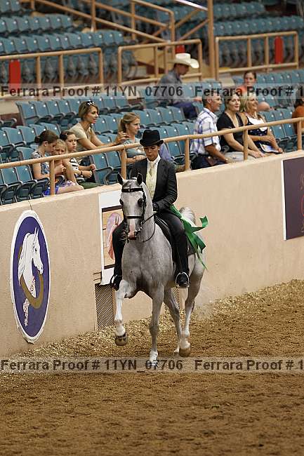 Proof 11yn_07706