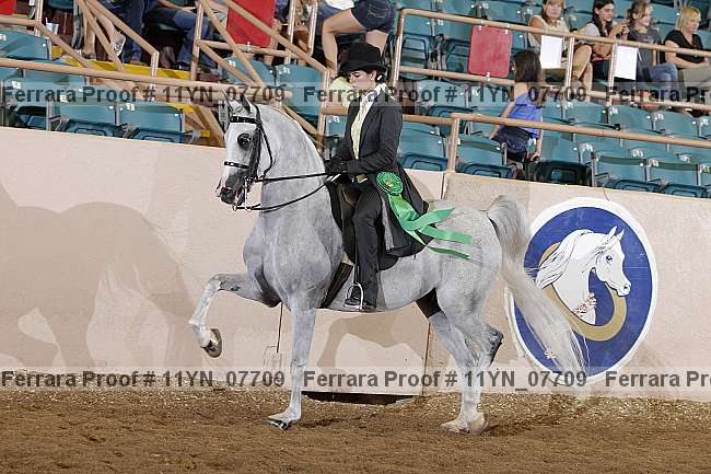 Proof 11yn_07709