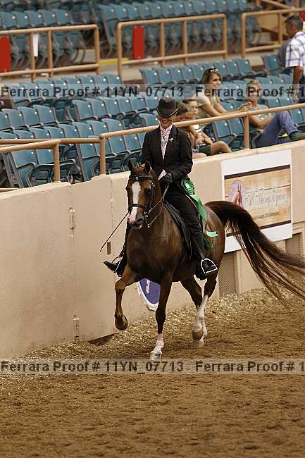 Proof 11yn_07713