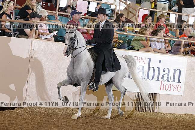 Proof 11yn_07718