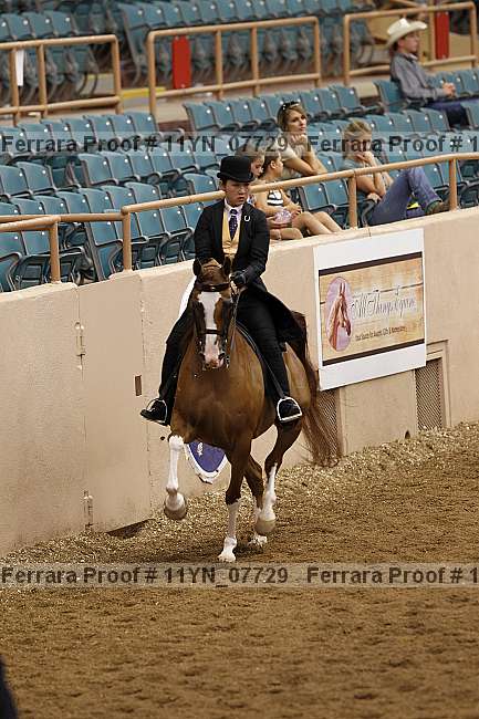 Proof 11yn_07729
