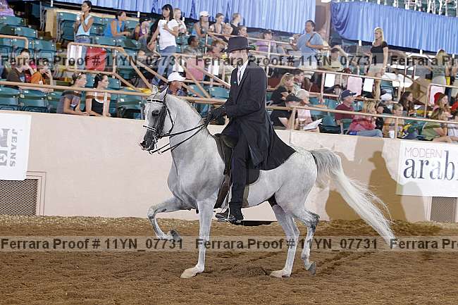 Proof 11yn_07731
