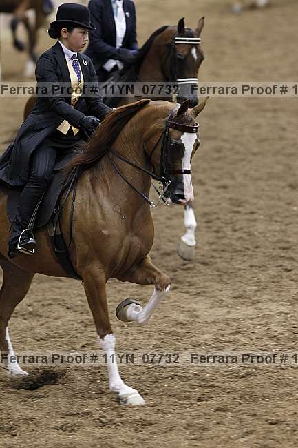Proof 11yn_07732