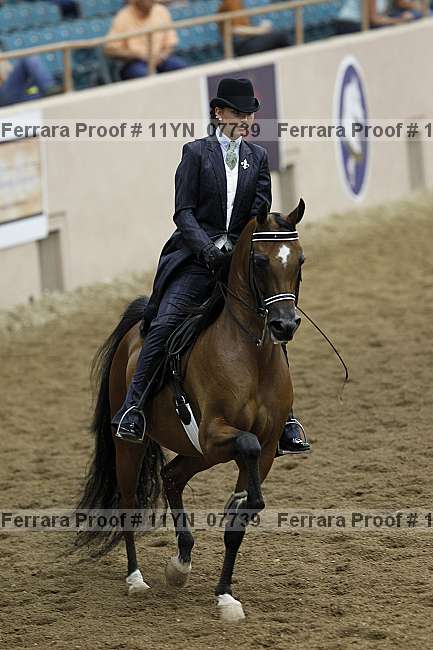 Proof 11yn_07739