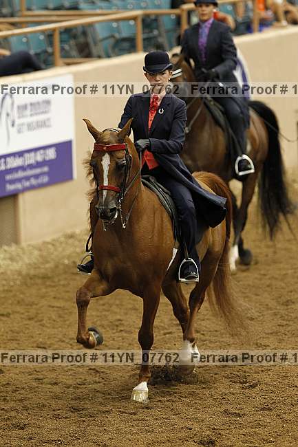 Proof 11yn_07762