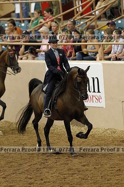 Proof 11yn_07781