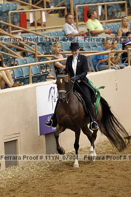 Proof 11yn_07804