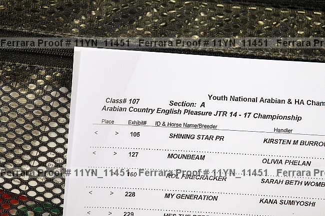 Proof 11yn_11451