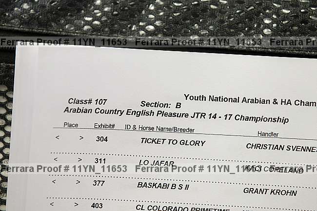 Proof 11yn_11653