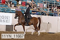 11yn_11667 proof