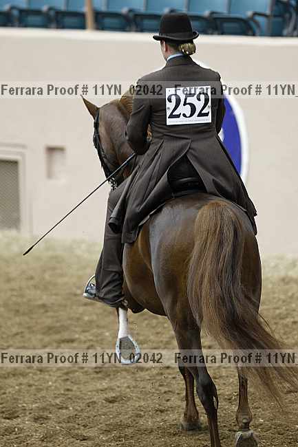 Proof 11yn_02042