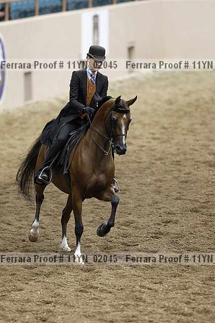 Proof 11yn_02045