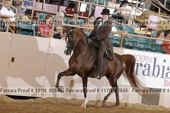Proof 11yn_02046