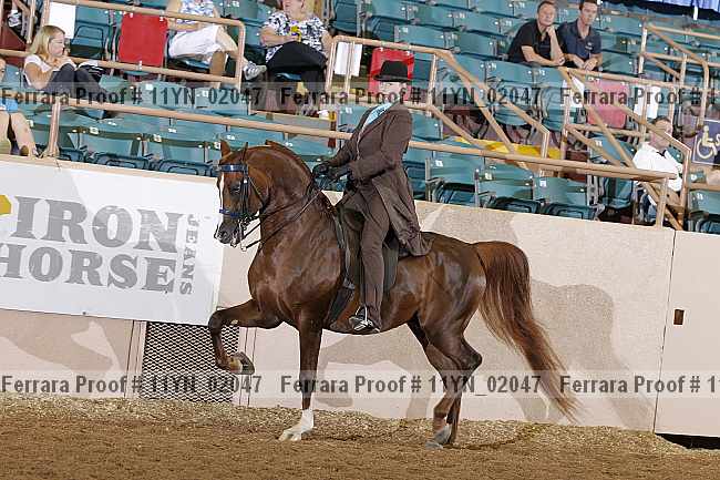 Proof 11yn_02047
