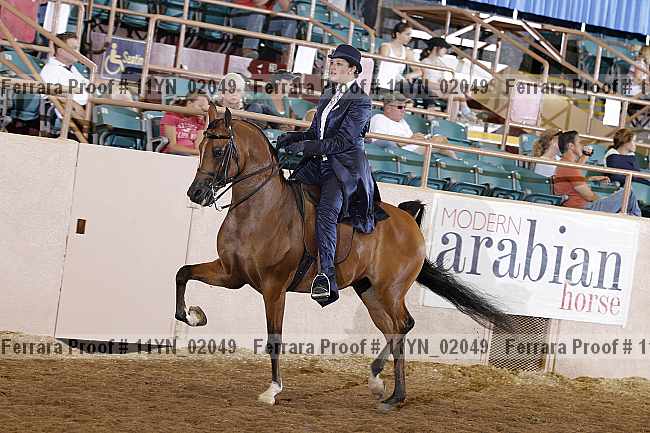 Proof 11yn_02049