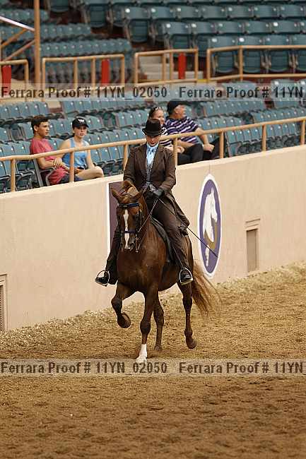 Proof 11yn_02050