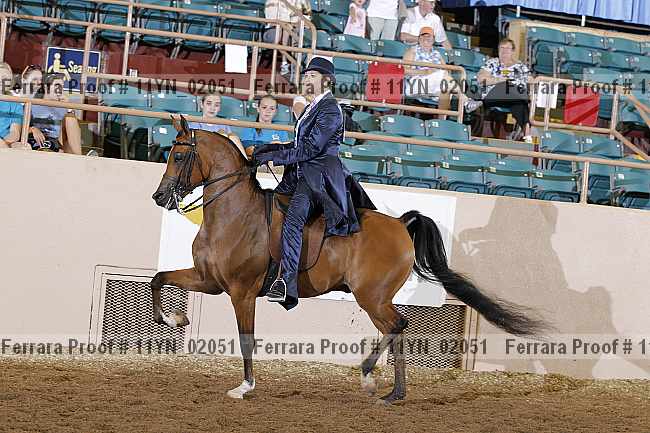 Proof 11yn_02051