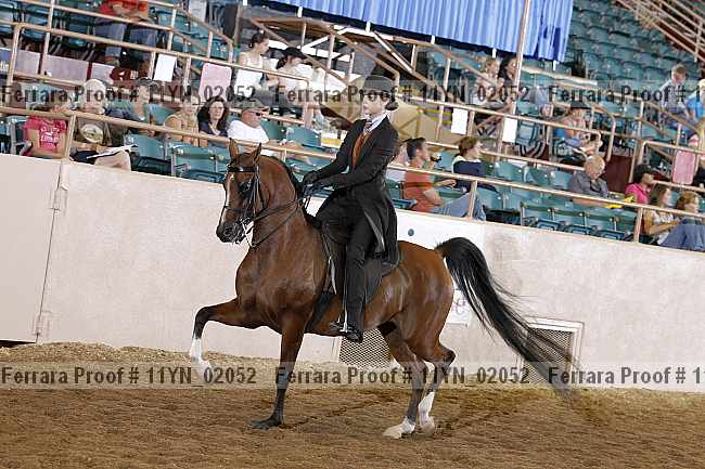 Proof 11yn_02052