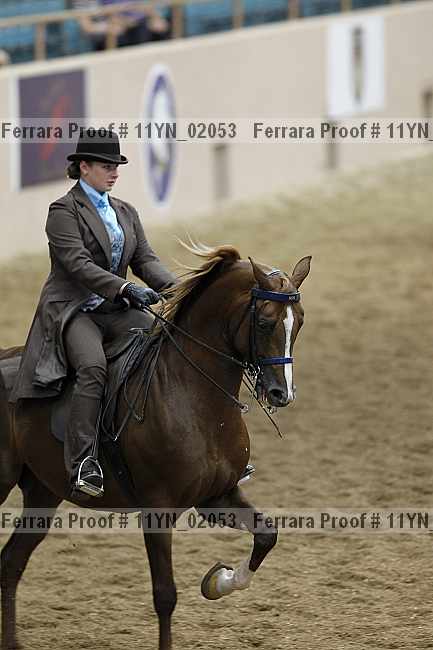 Proof 11yn_02053