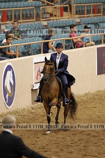 Proof 11yn_02055
