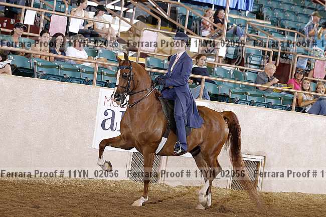 Proof 11yn_02056
