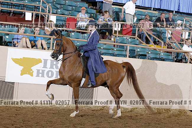 Proof 11yn_02057