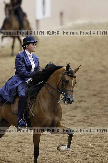 Proof 11yn_02058