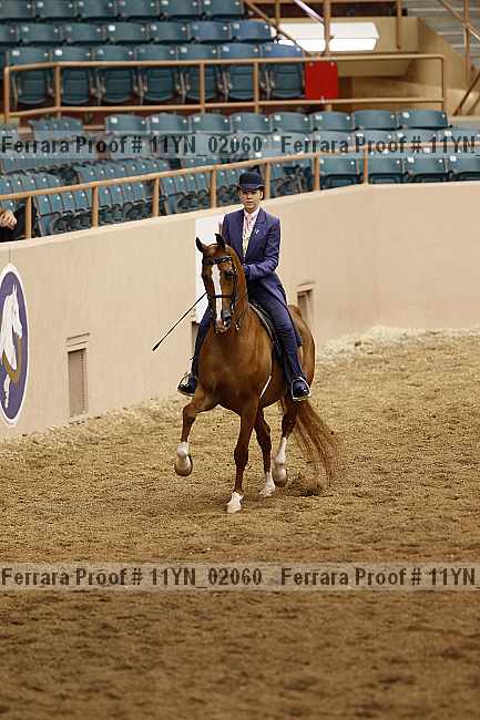 Proof 11yn_02060