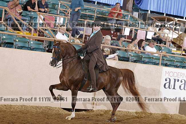 Proof 11yn_02061
