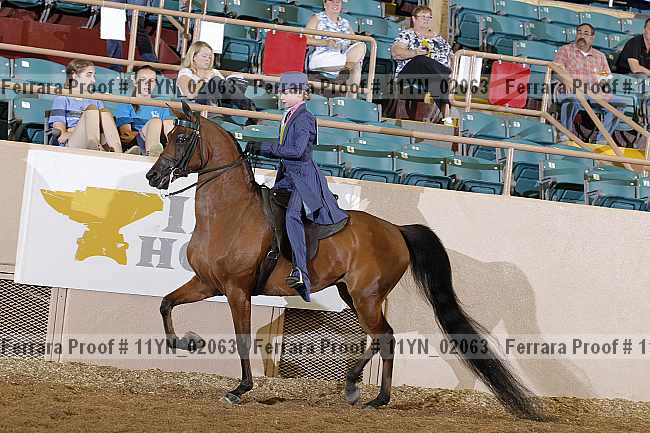 Proof 11yn_02063